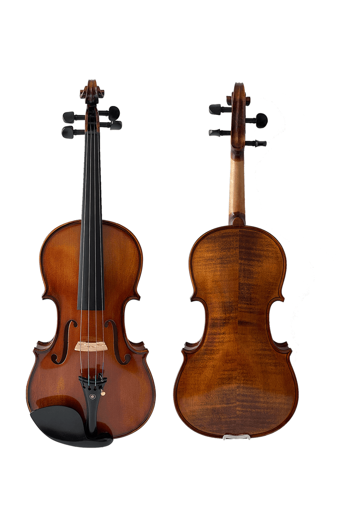 Elegant Beginner Violin 2-pieces F14