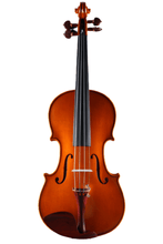 Load image into Gallery viewer, Intermediate Violin F43 Any price increase series