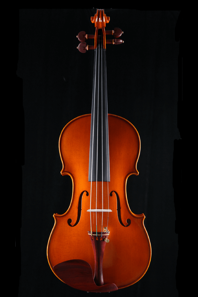 Intermediate Violin F43 Any price increase series