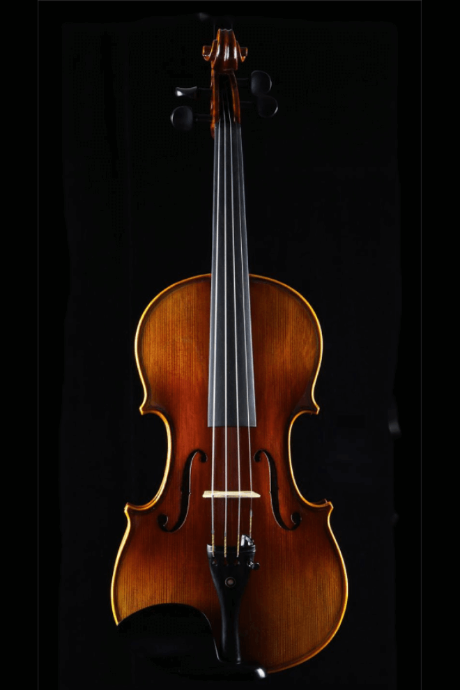 Best Selling Intermediate Violin F35