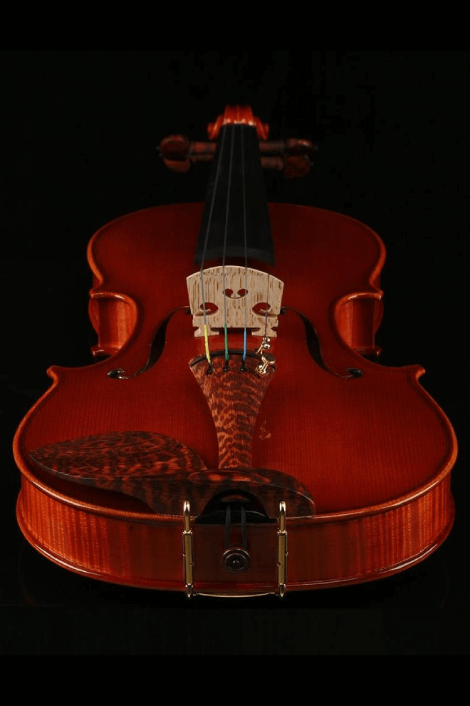 Fiddlover Performance Grade Violin F48