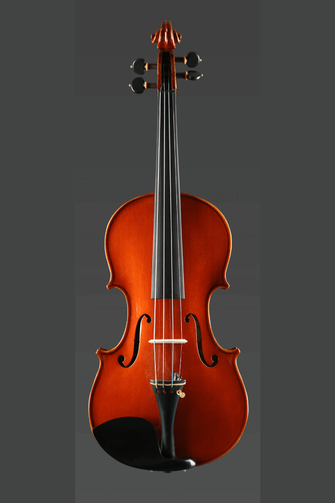 Bird's Eye Violin F44 Reservation required