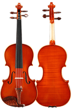 Load image into Gallery viewer, Fiddlover Performance Grade Violin F48