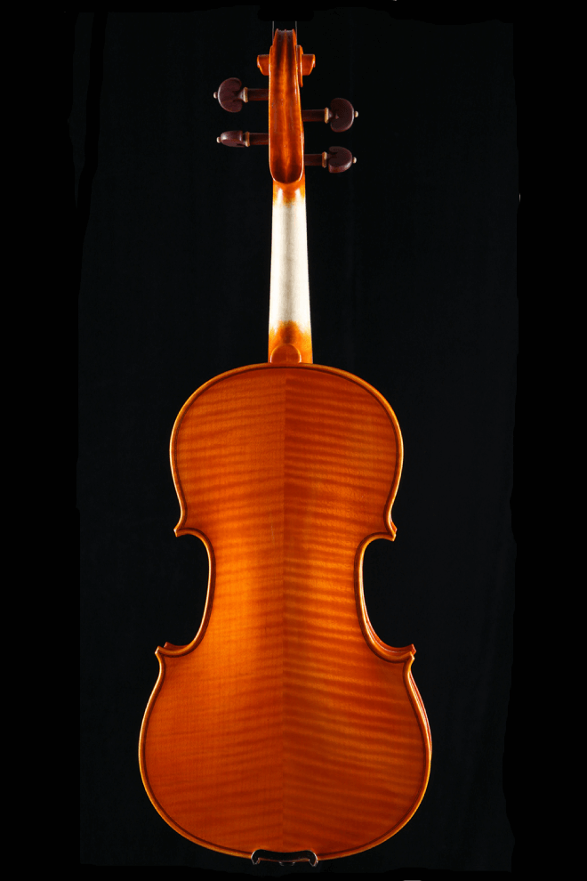 Intermediate Violin F43 Any price increase series