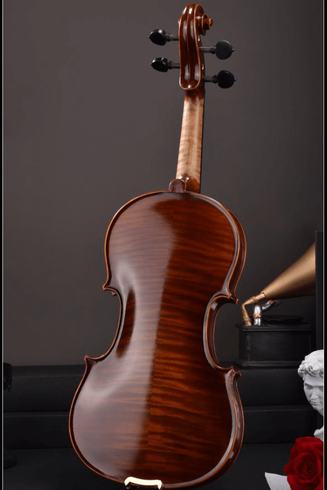 Best Selling Intermediate Violin F35