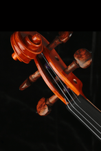 Load image into Gallery viewer, Fiddlover Performance Grade Violin F48