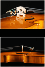 Load image into Gallery viewer, Full Size Apprentice Violin F34