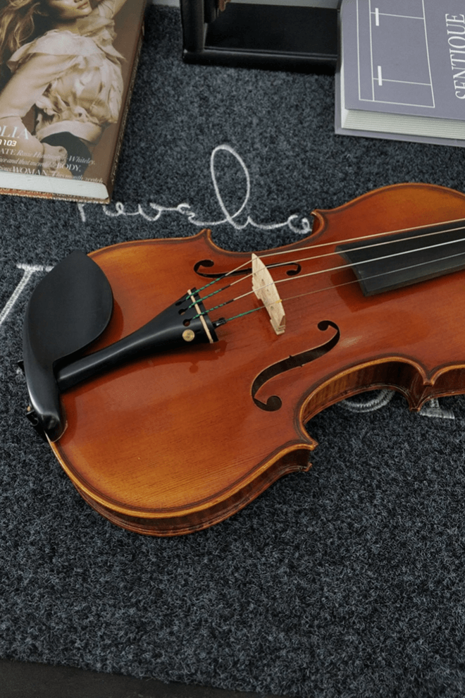 Fiddlover Master Grade Violin 2 Piece Q032-5