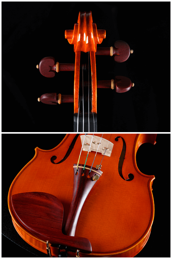 Intermediate Violin F43 Any price increase series