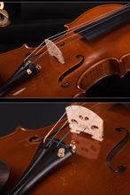 Load image into Gallery viewer, Master Grade Violin F49 Limited to 2