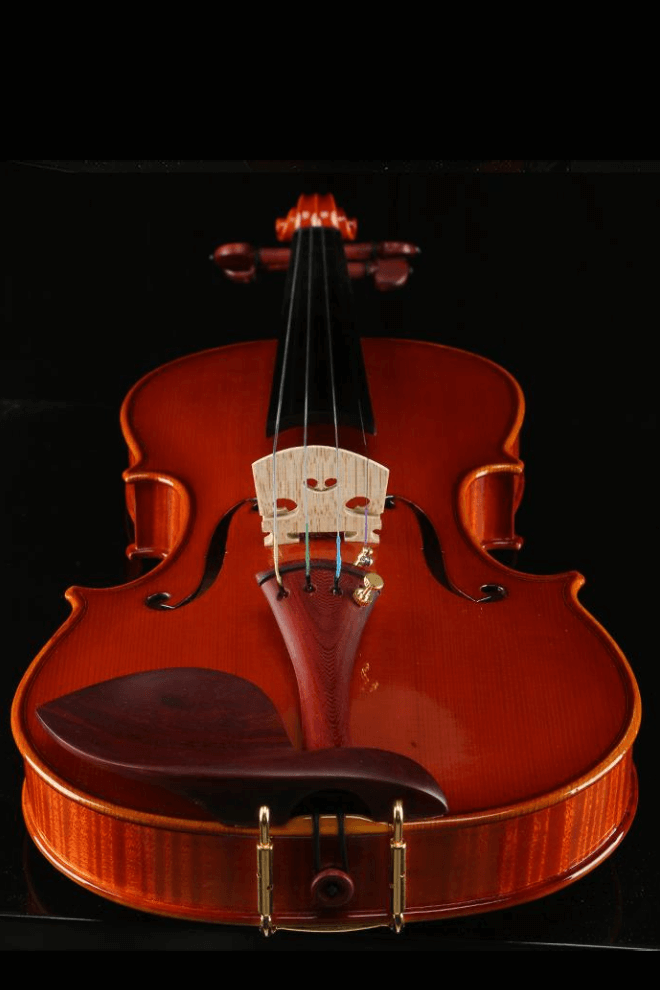 Fiddlover Performance Grade Violin F48