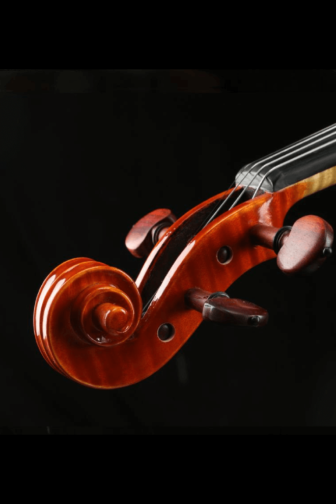 Fiddlover Performance Grade Violin F48