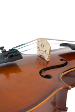 Load image into Gallery viewer, No Pattern Vintage Matte Style Violin F5