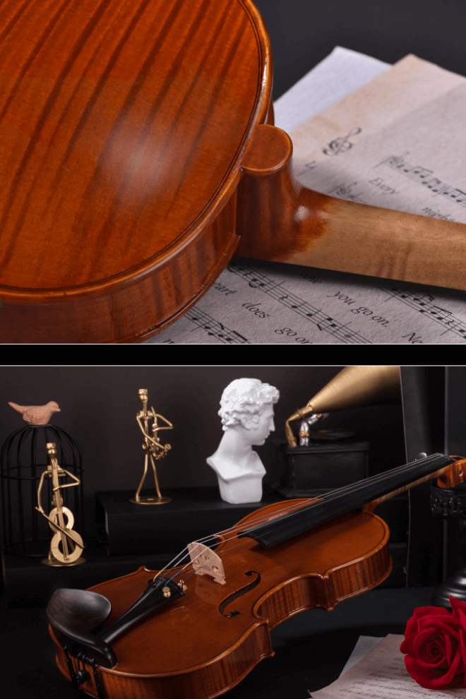 Master Grade Violin F49 Limited to 2