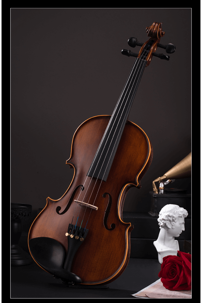 Beautiful Natural Maple Beginner Violin Outfit Q002-4