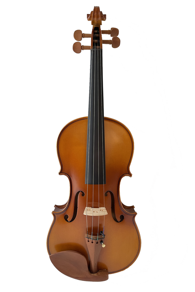 No Pattern Back Violin Replaceable Accessories F1