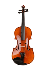 Load image into Gallery viewer, Fiddlover Classic Violin F19