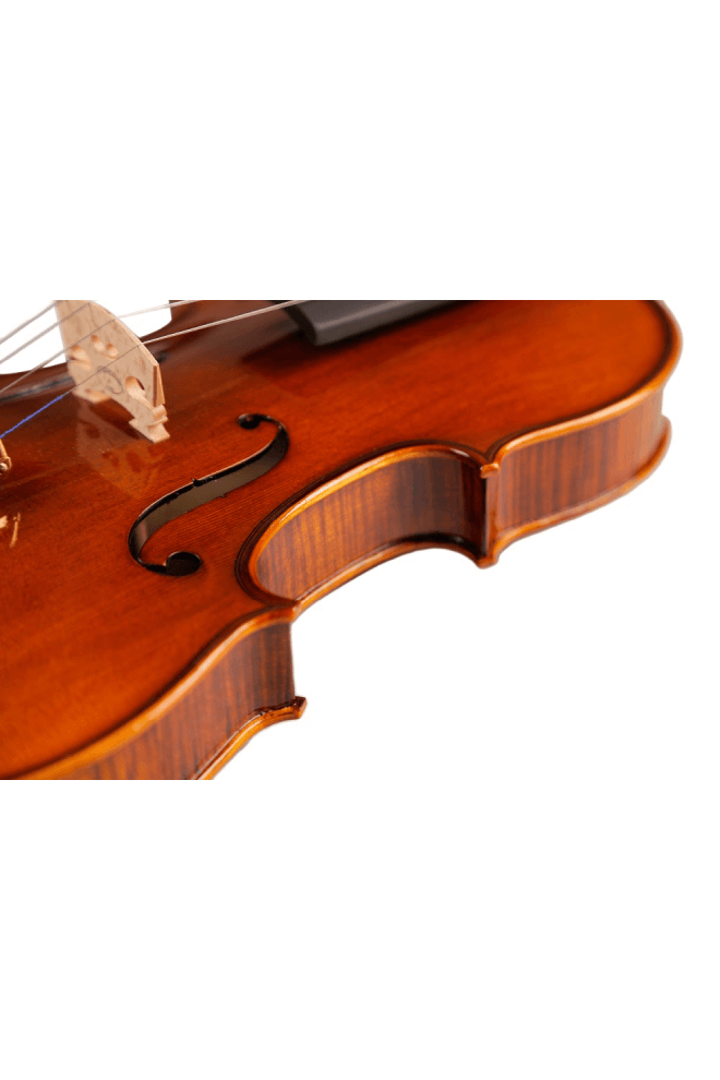 Fiddlover Classic Violin F19