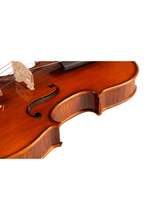 Load image into Gallery viewer, Fiddlover Classic Violin F19