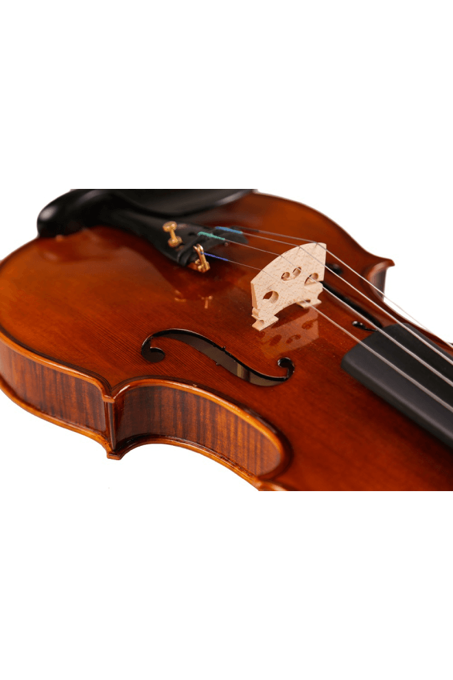 Fiddlover Classic Violin F19