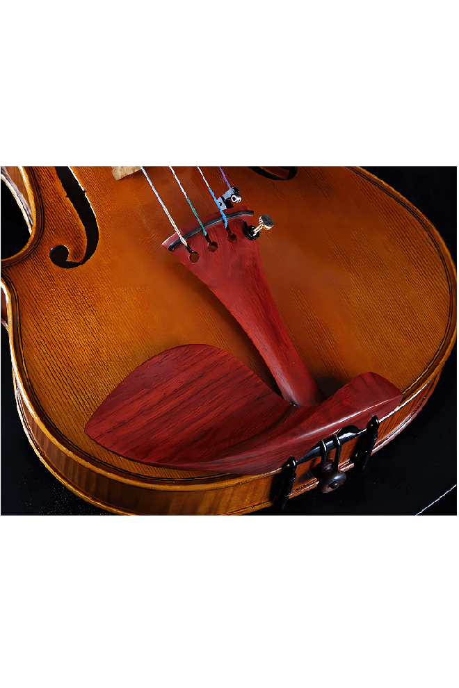 Elegant Intermediate Violin F30