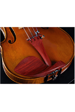 Load image into Gallery viewer, Elegant Intermediate Violin F30