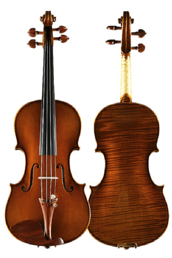 Elegant Intermediate Violin F30