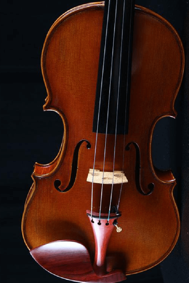 Elegant Intermediate Violin F30