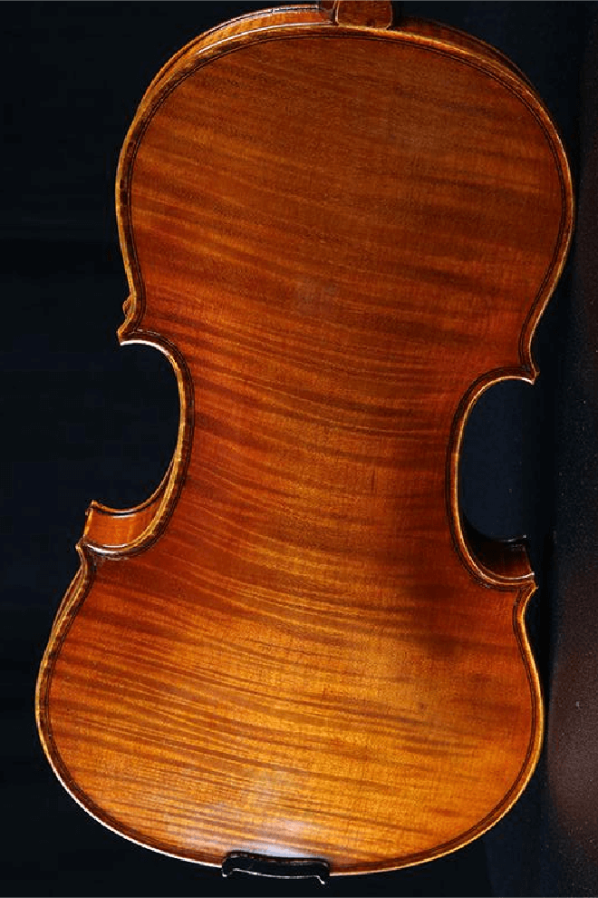 Elegant Intermediate Violin F30