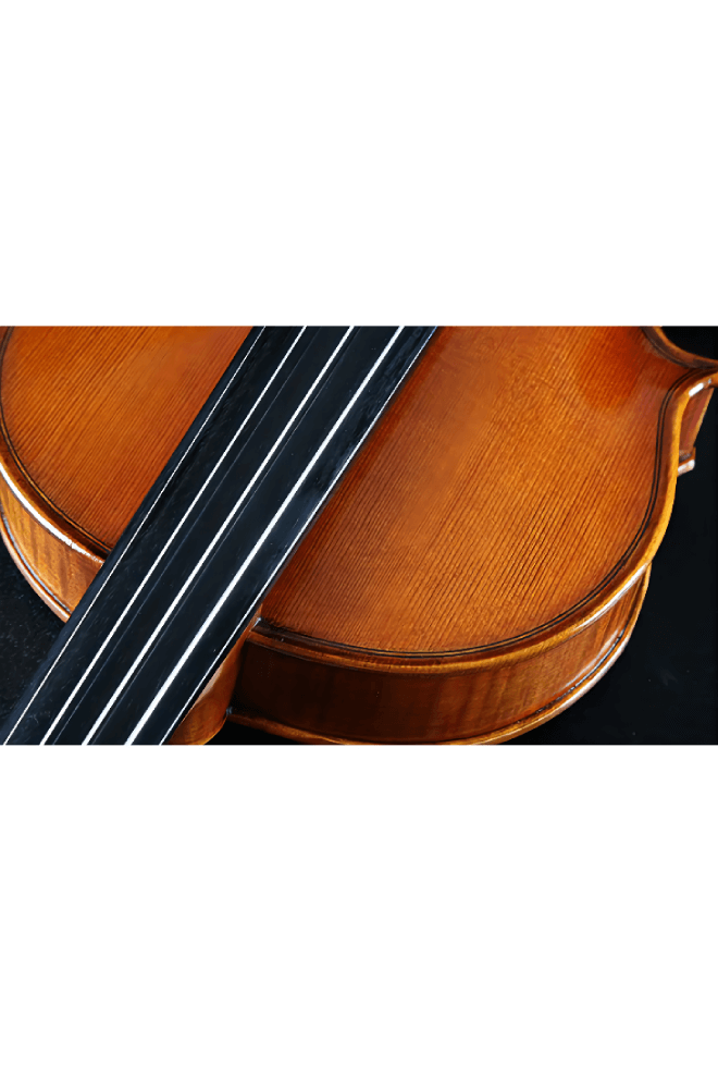 Elegant Intermediate Violin F30