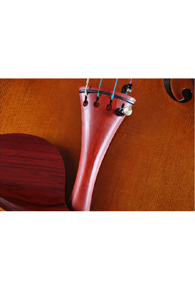 Elegant Intermediate Violin F30