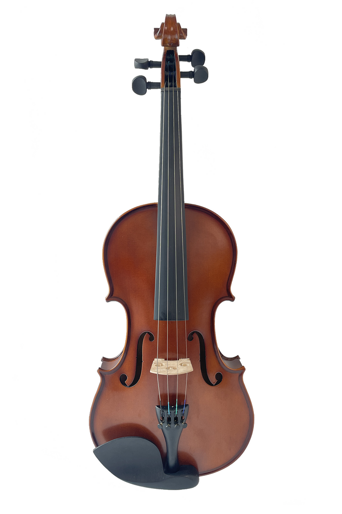 Artistic Pattern Violin (2 piece) F3