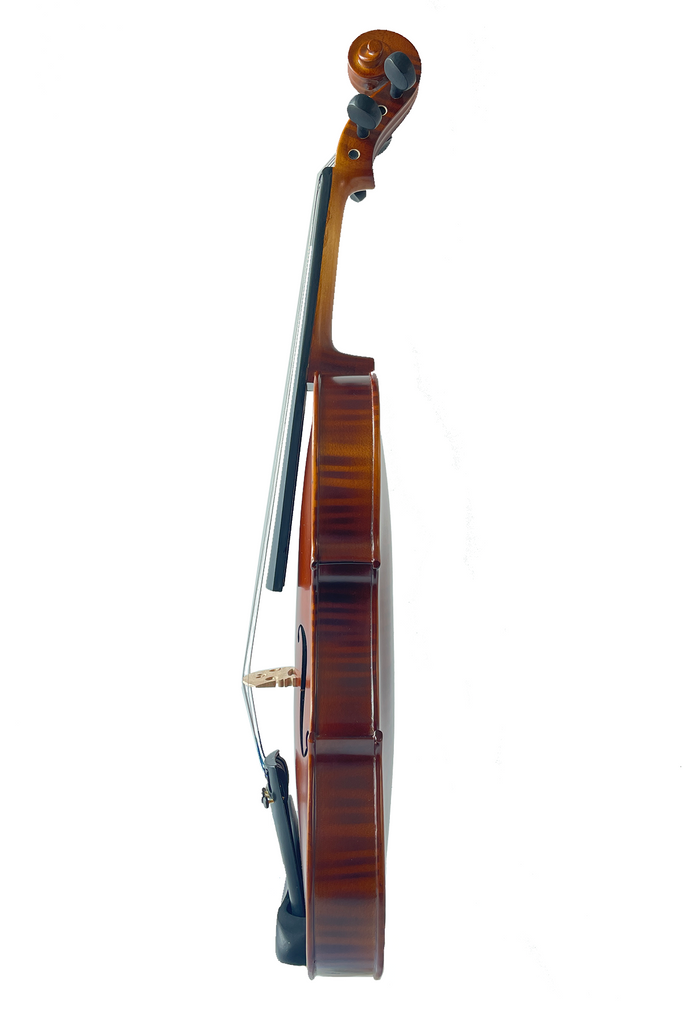 Artistic Pattern Violin (2 piece) F3