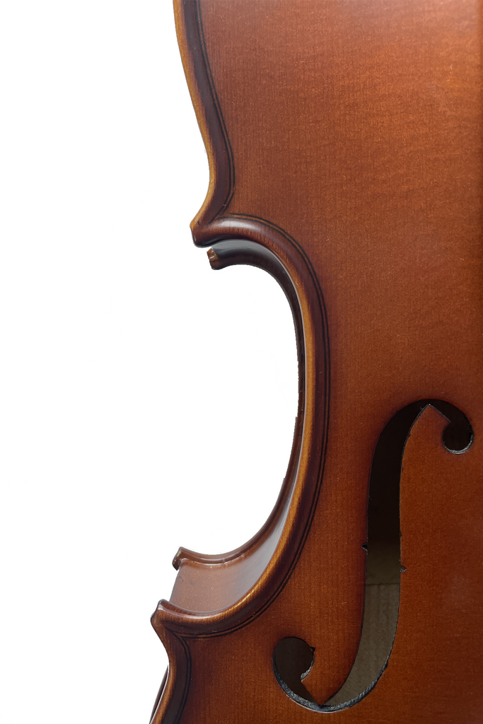 Artistic Pattern Violin (2 piece) F3