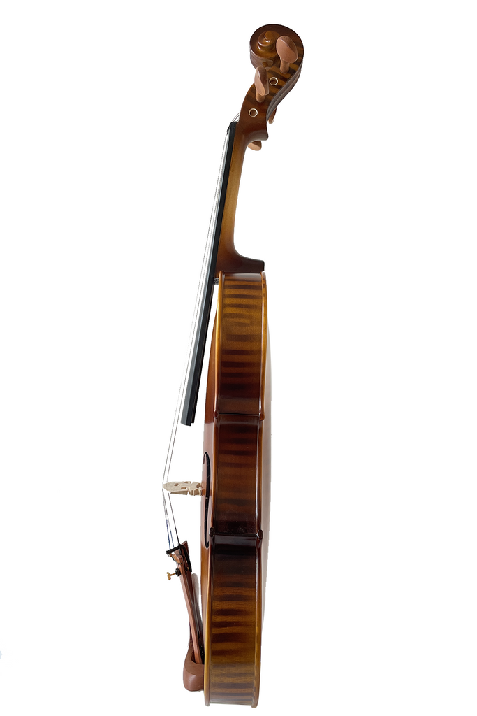 Artistic Tiger Stripe Violin F6