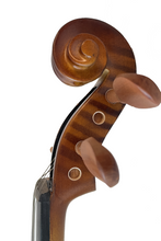 Load image into Gallery viewer, Artistic Tiger Stripe Violin F6