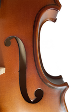 Load image into Gallery viewer, Artistic Tiger Stripe Violin F6