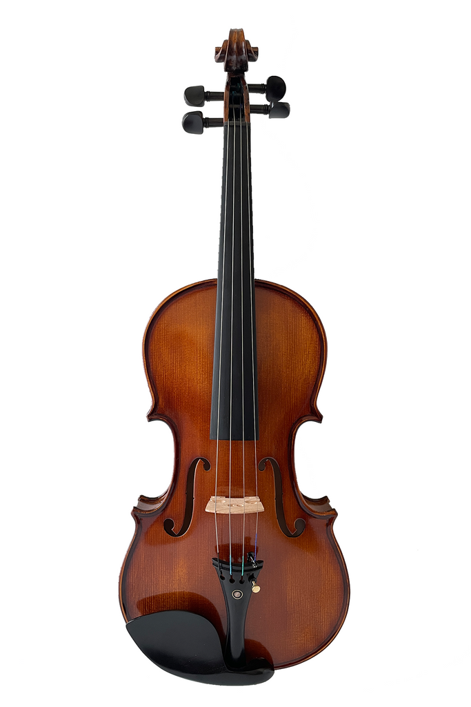 Elegant Beginner Violin 2-pieces F14