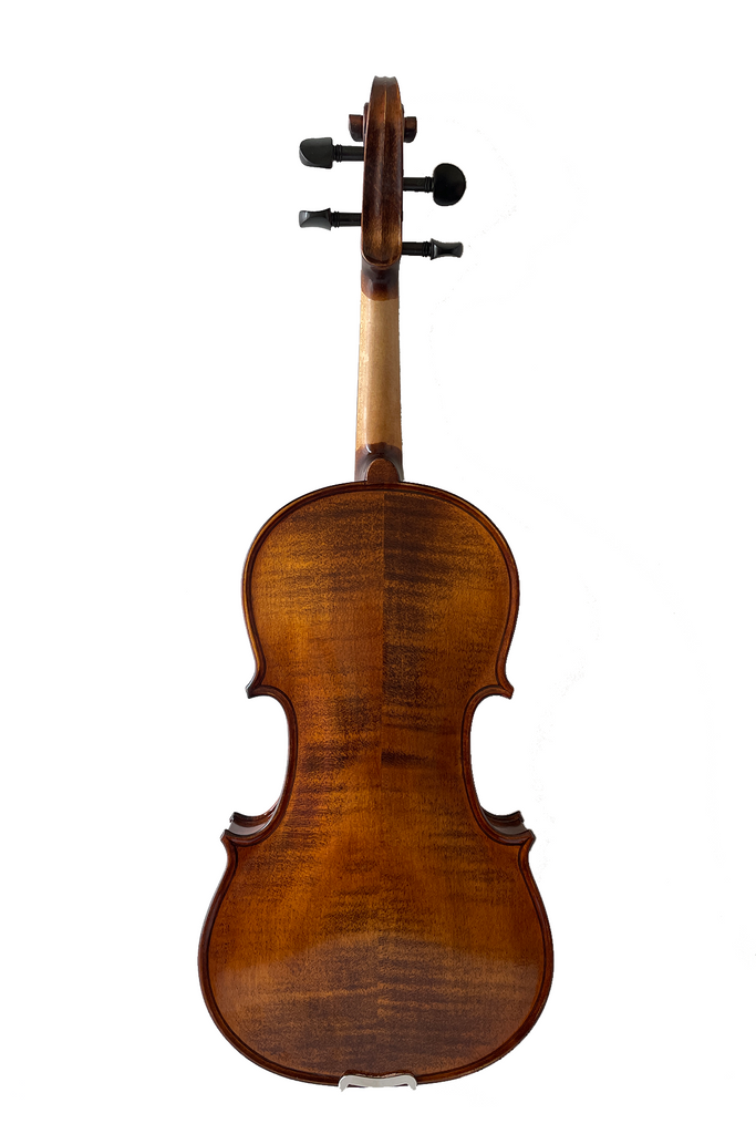 Elegant Beginner Violin 2-pieces F14