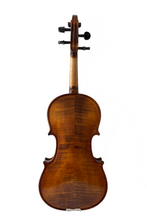 Load image into Gallery viewer, Elegant Beginner Violin 2-pieces F14