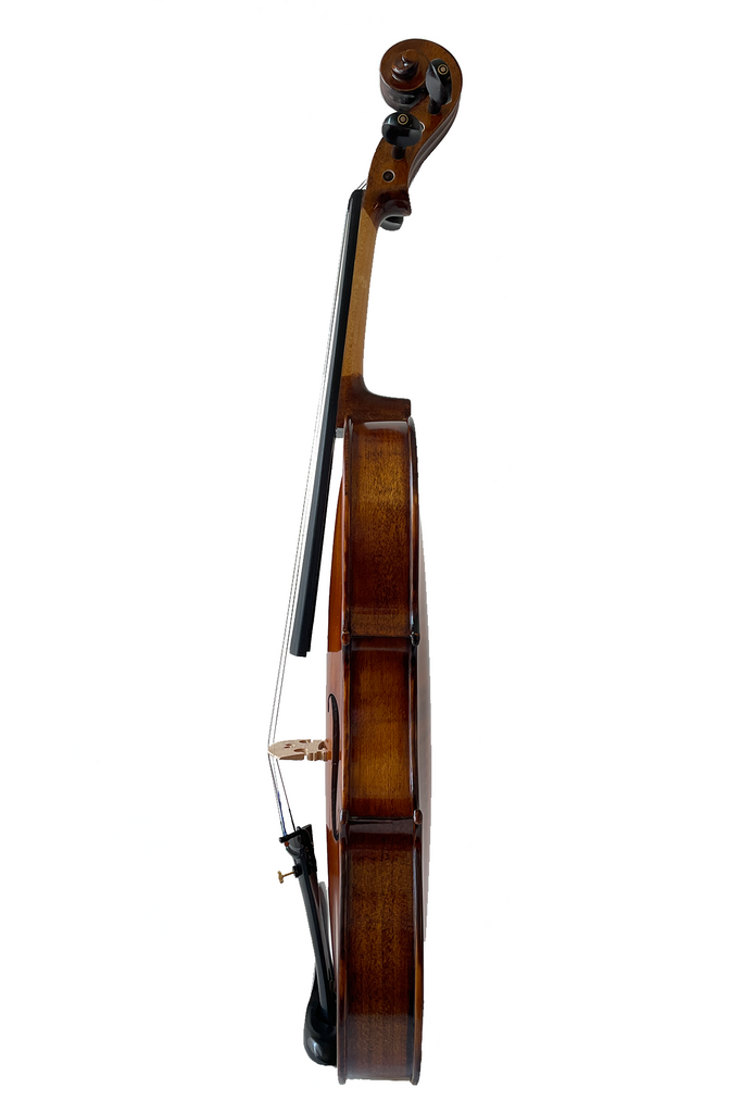 Elegant Beginner Violin 2-pieces F14