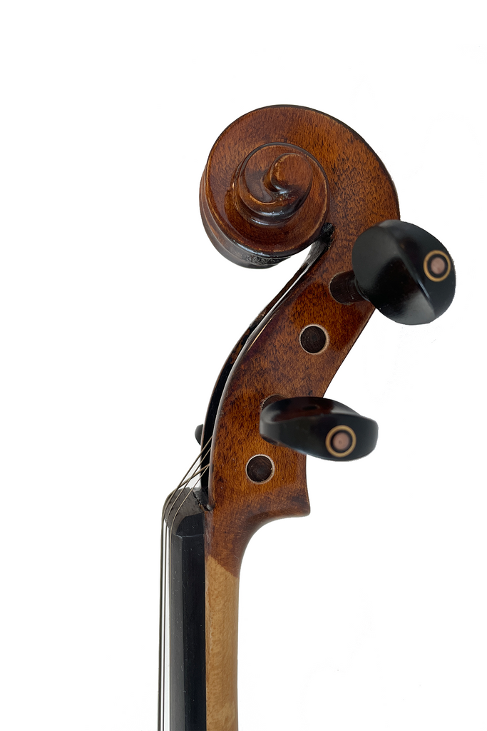 Elegant Beginner Violin 2-pieces F14