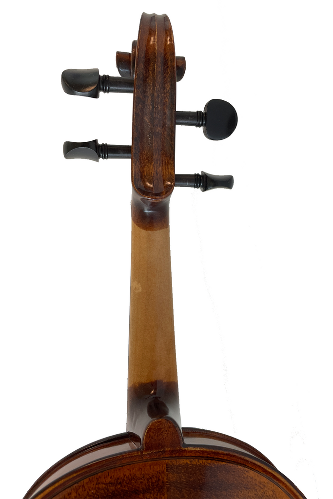 Elegant Beginner Violin 2-pieces F14