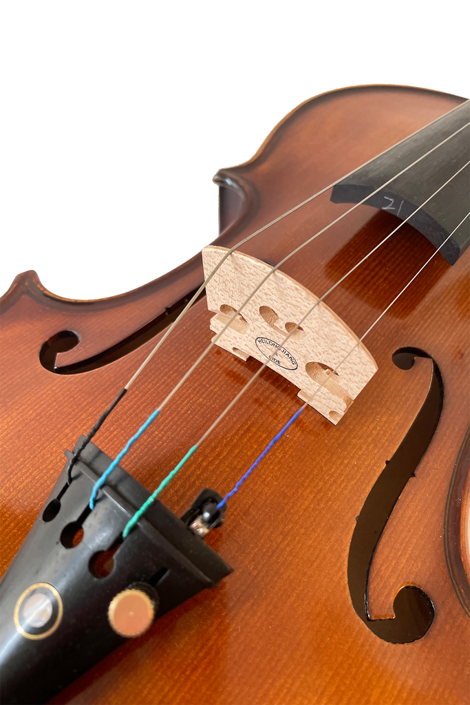 Elegant Beginner Violin 2-pieces F14