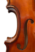 Load image into Gallery viewer, Elegant Beginner Violin 2-pieces F14