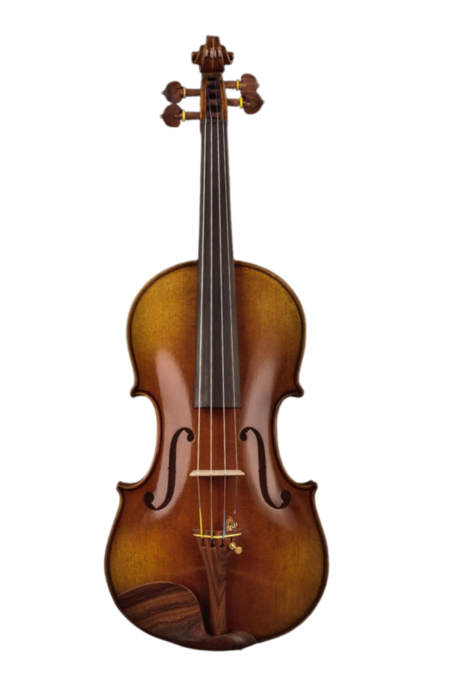 Intermediate Violin F29 Any price increase series