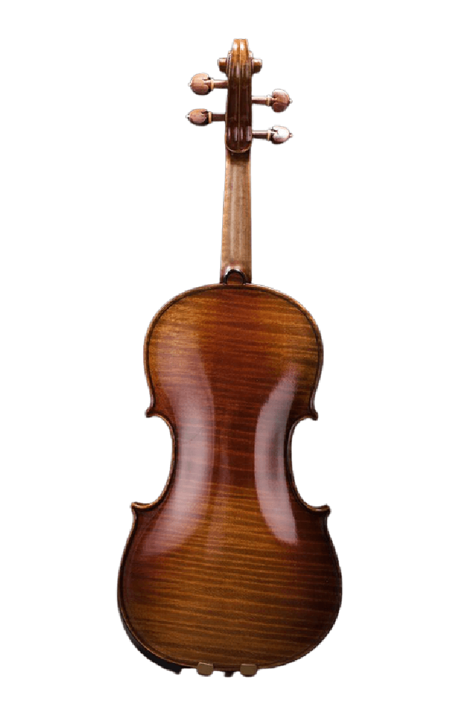 Intermediate Violin F29 Any price increase series