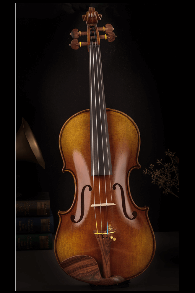 Intermediate Violin F29 Any price increase series