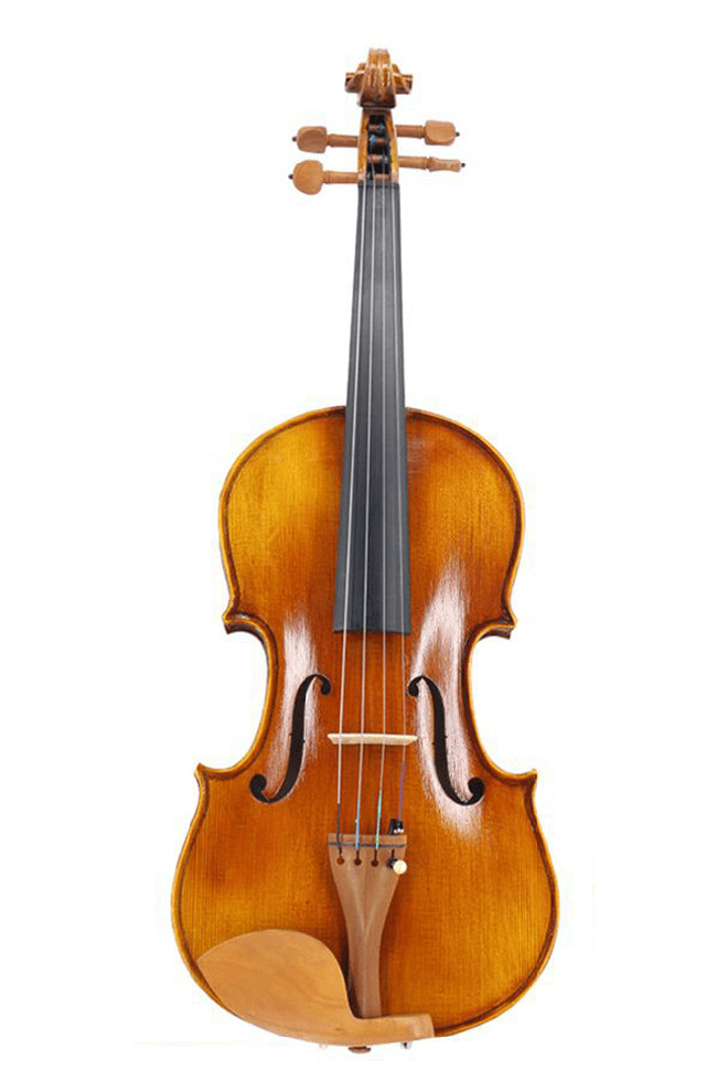 Advanced Matte Beginner Violin F7