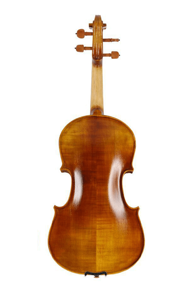 Advanced Matte Beginner Violin F7